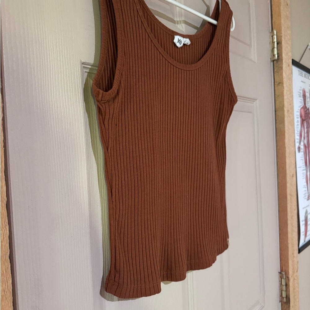 Never worn, washed once, no fragrance, brown, tentree tank top.